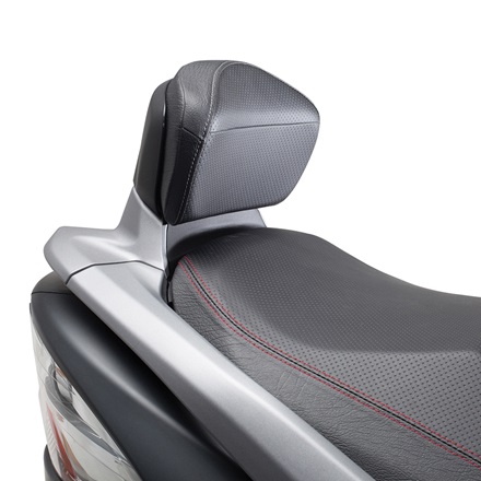 Passenger Backrest, Gray picture