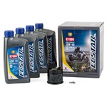 ECSTAR R7000 Semi-Synthetic Oil Change Kit (4 Quart)