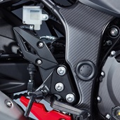 Carbon Frame Protector